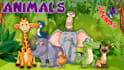 create kids learning and nursery rhyme educational videos