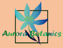 create professional custom logo design for your business