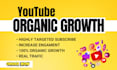 professional youtube video editing, SEO, thumbnails optimization service