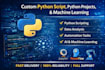 do custom python script, python projects, and machine learning