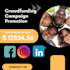 do best crowdfunding campaign promotion
