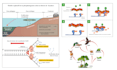 create scientific illustrations and medical figures
