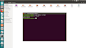 do assembly language and operating systems  projects