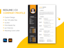 write your resume and deliver flawlessly