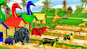 create 3d animal crossing fountain animation