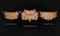 create an intense brutal death metal logo design