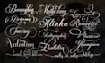 modern signature, handwritten, calligraphy, scripted, cursive logo