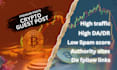 build premium backlinks and provide crypto guest post