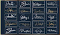 design a professional signature, handwritten and cursive logo
