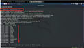 perform indepth vulnerability assessments and  pen testing
