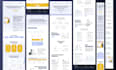 do custom webflow website  design and development as your webflow expert
