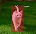 do data and image annotation using cvat, roboflow