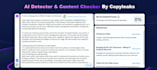 humanize chatgpt, ai to human essay, rewrite, edit humanize ai content