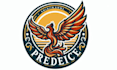 design colorful phoenix logo