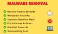 remove malware and install security in your website