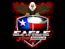 create attractive and imagination eagle logo design