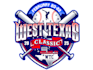 create graceful and fantastic softball logo design