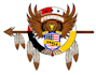 design a professional eagle logo