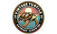 creative a awesome turtle logo design