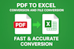 convert PDF to excel and file conversion