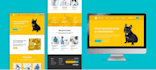 do full stack website development, full stack web developer