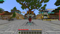 develop and config your minecraft server