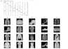 do python projects with machine learning
