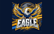 design high quality eagle mascot logo with express delivery
