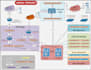 create professional network, hld, lld, logical, physical and rack diagrams