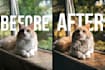 do professional edting and enhancing your pictures