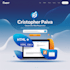 desarrollo web responsive con HTML, CSS y javascript
