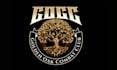do custom gold tree logo design natural tree eco
