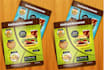 do attractive and professional flyer