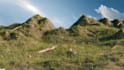 create 3d realistic environment and realistic rendering