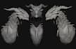 create realistic creature modelling, texturing and aniamtion