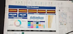 professional financial analyst and power bi dashboard data entry