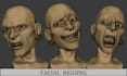 rig 3d and 2d character on blender, unreal engine rigging, vtuber live2d rigging