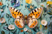 make any floral, animal or botanical art