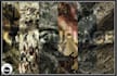 design a custom hunting camouflage repeat pattern