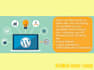 setup and customisation wordpress theme exactly as the demo