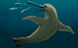 draw paleoart, speculative evolution art and creature design
