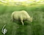 draw paleoart, speculative evolution art and creature design