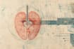 design scientific illustrations and medical figures