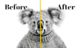 upscale your images up to 16x without losing quality