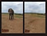 professionally remove unwanted objects from your photo