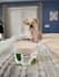 create dog ugc videos for your product or and pet services