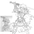 turn your sketches into clean digital lineart