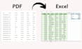 manually convert scanned PDF to excel with accurate data entry
