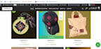 build a professional wordpress website that attract visitors