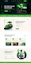 design and create a high converting wordpress website with elementor pro or divi